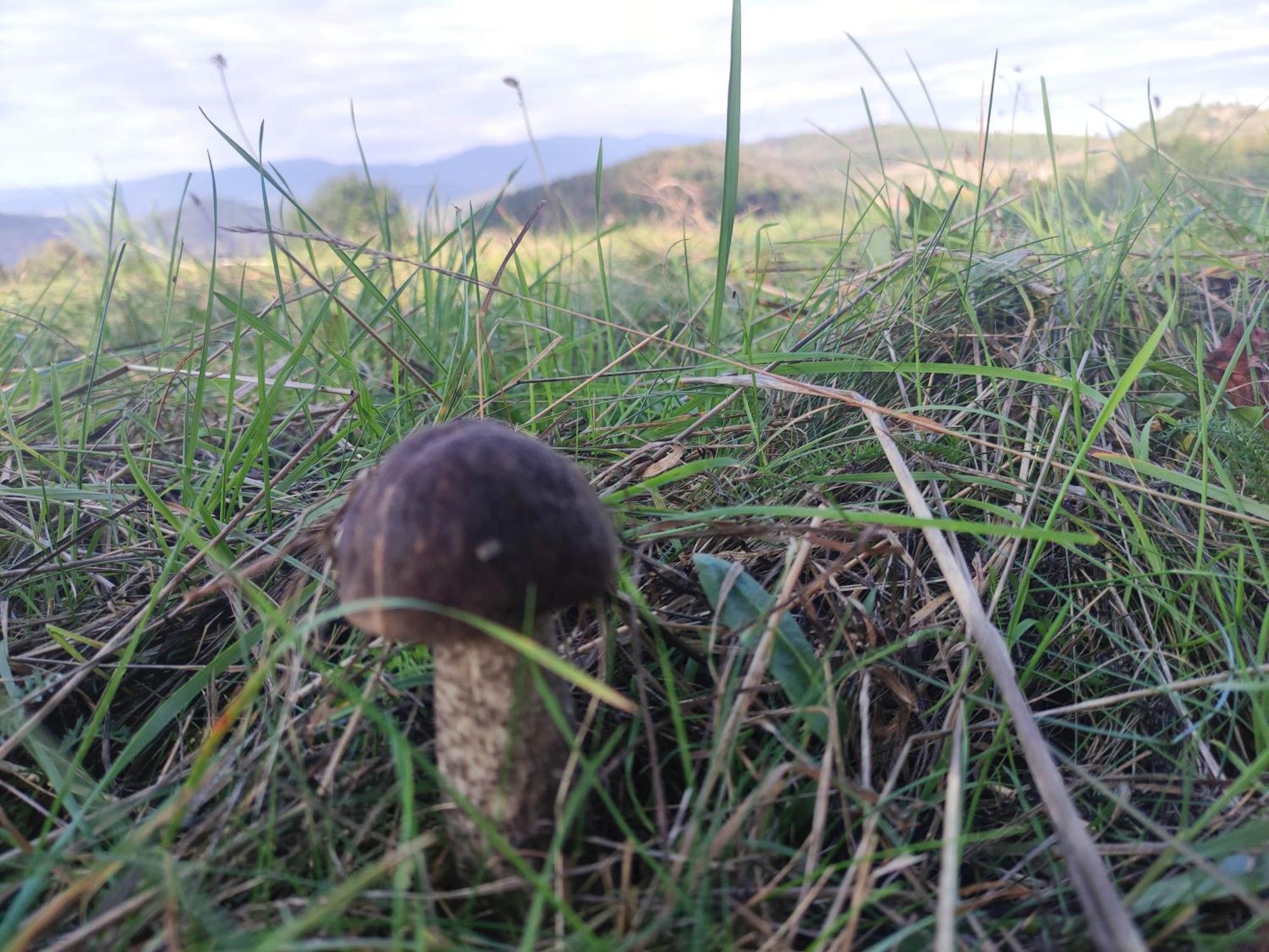 Chata Bobo Stozok Dış mekan fotoğraf