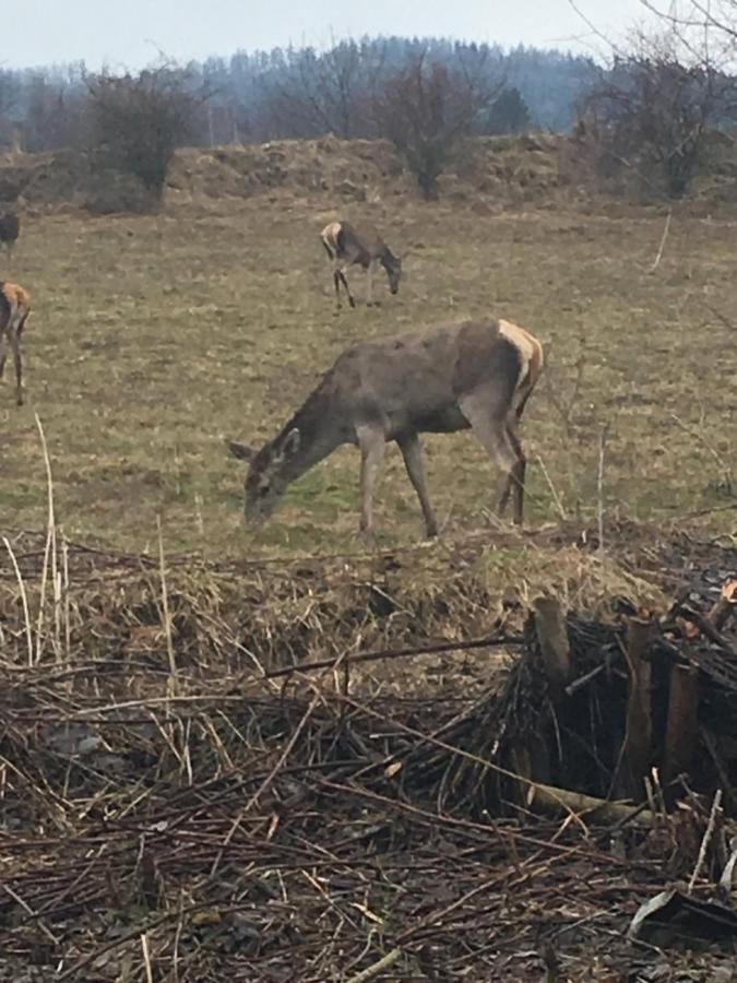 Chata Bobo Stozok Dış mekan fotoğraf